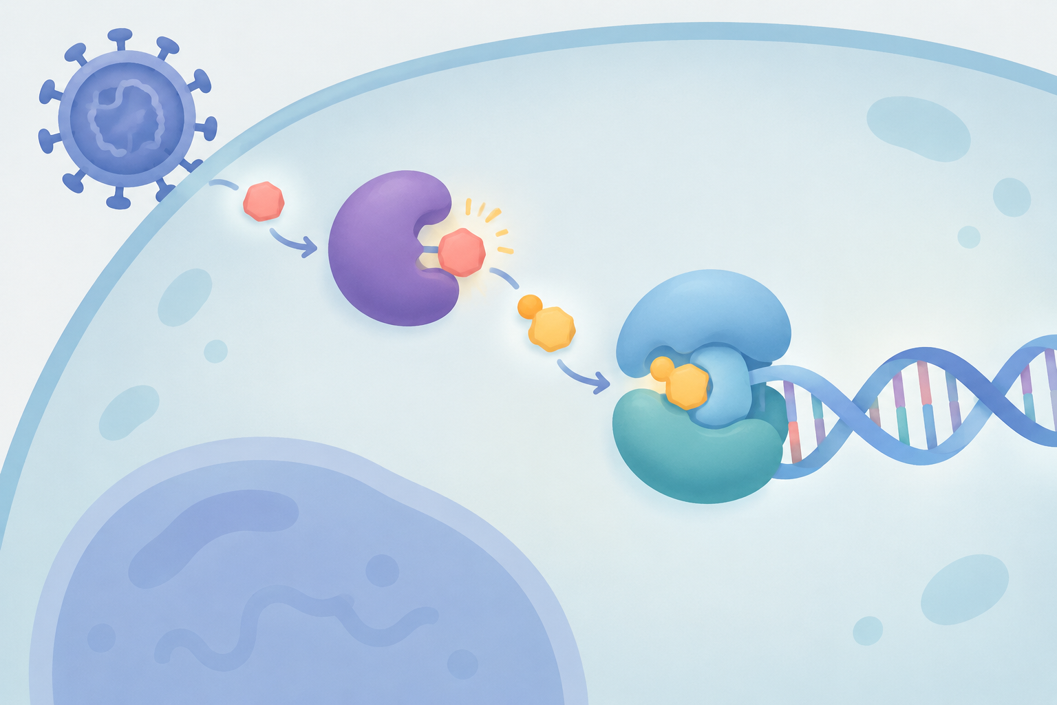 Editorial illustration of a viral thymidine kinase activating an antiviral molecule before it inhibits a DNA polymerase complex.